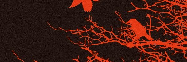rebecca • •'s banner