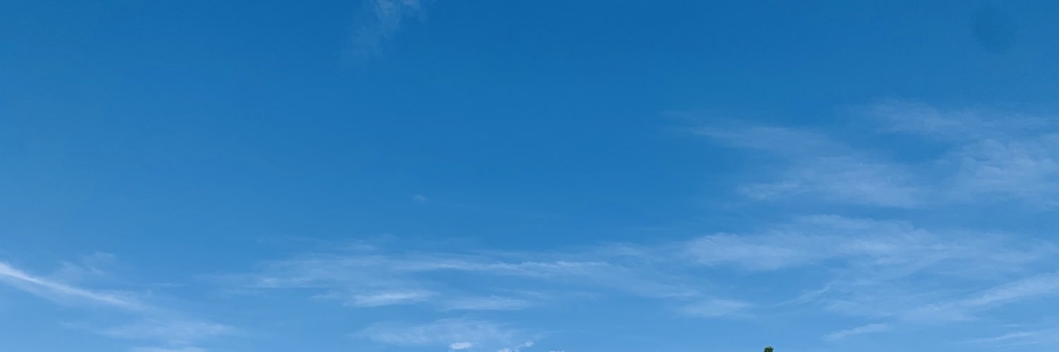 ミズケン's banner