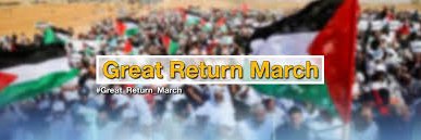Prof. Walid Amer's banner