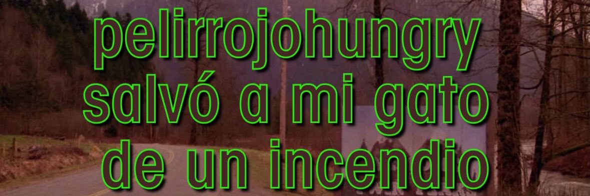 diego's banner
