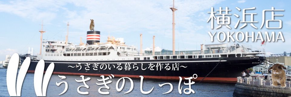 うさぎのしっぽ横浜店's banner