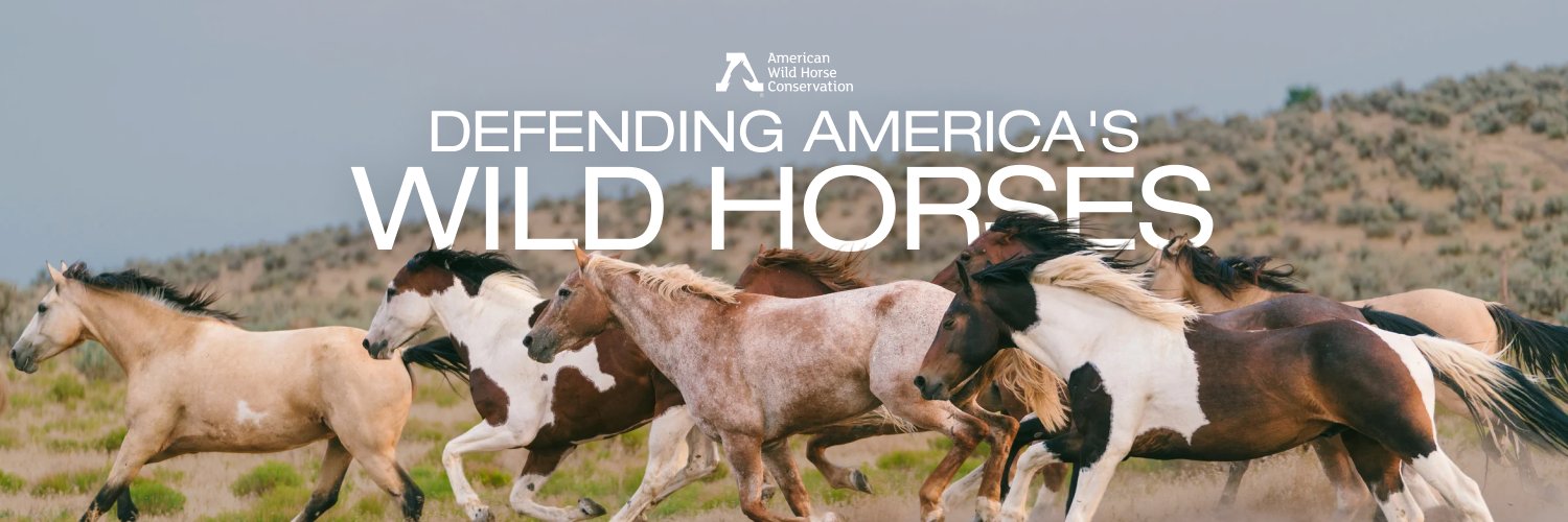 American Wild Horse Conservation's banner