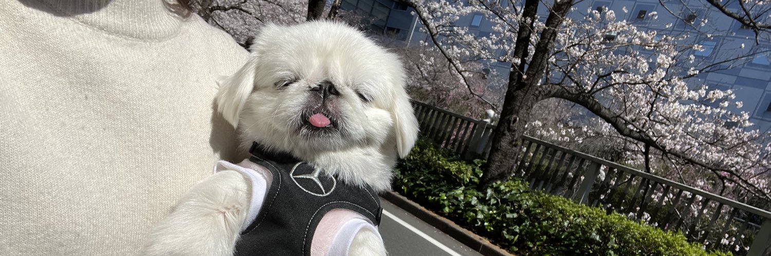ぺったん's banner