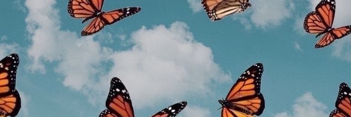 Haley🌸's banner