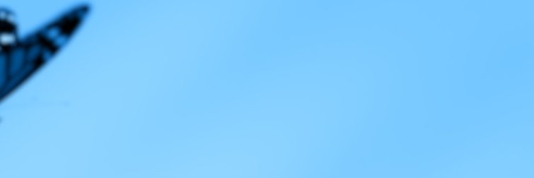 phantomofearth ☃️'s banner