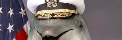 gdolphn's banner