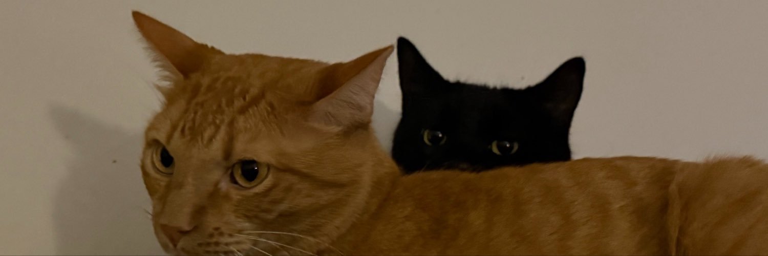 mælyn 😼's banner