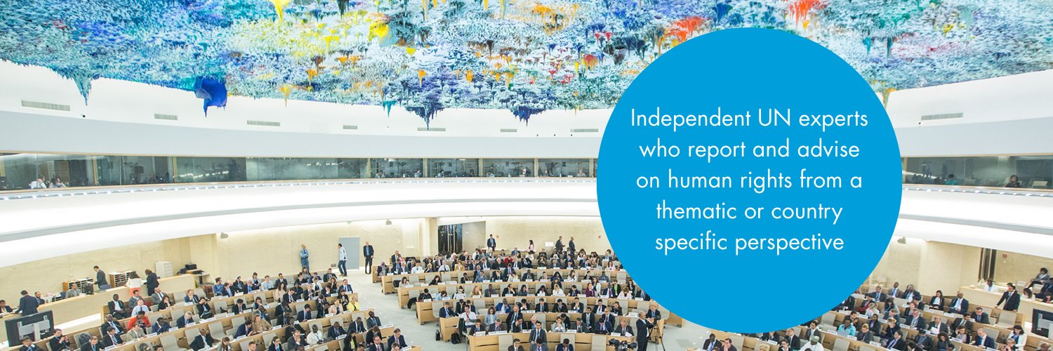 UN Special Procedures's banner