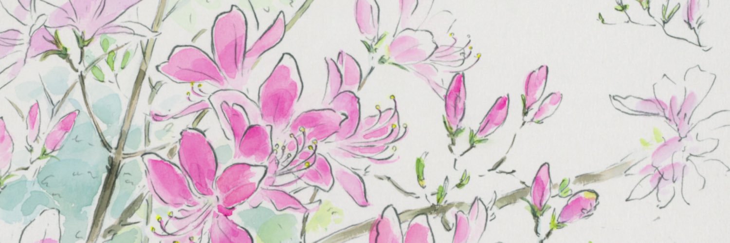 chevy 🌸's banner