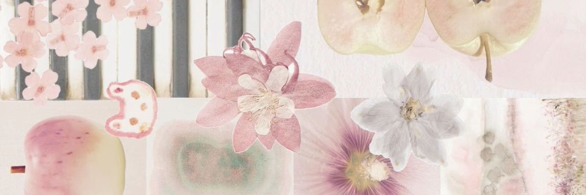 ana's banner