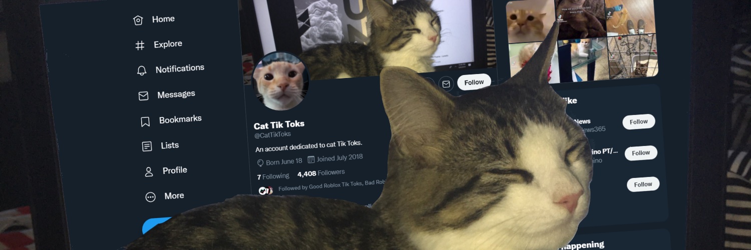 Cat TikToks's banner