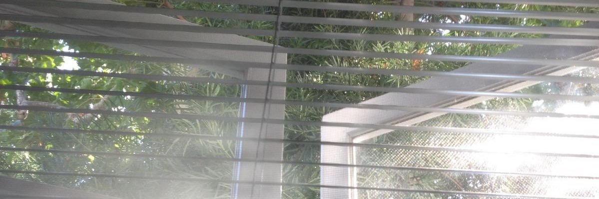 𓏲𓆤's banner