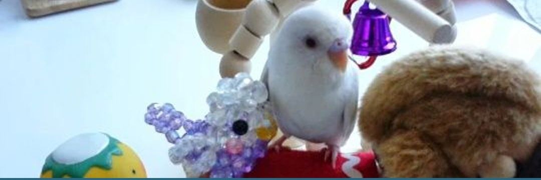 ぴよちゃん＆そらくん's banner