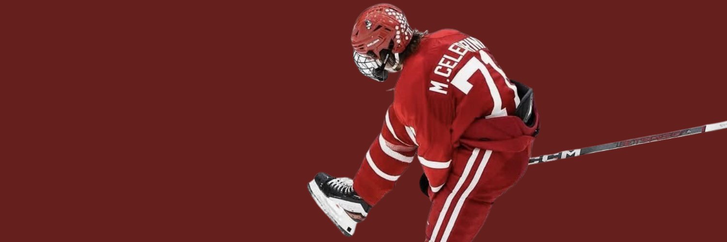april celebrini 🦈's banner