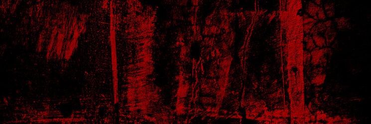 Leon 🐈‍⬛️🔪 | 🇵🇸's banner