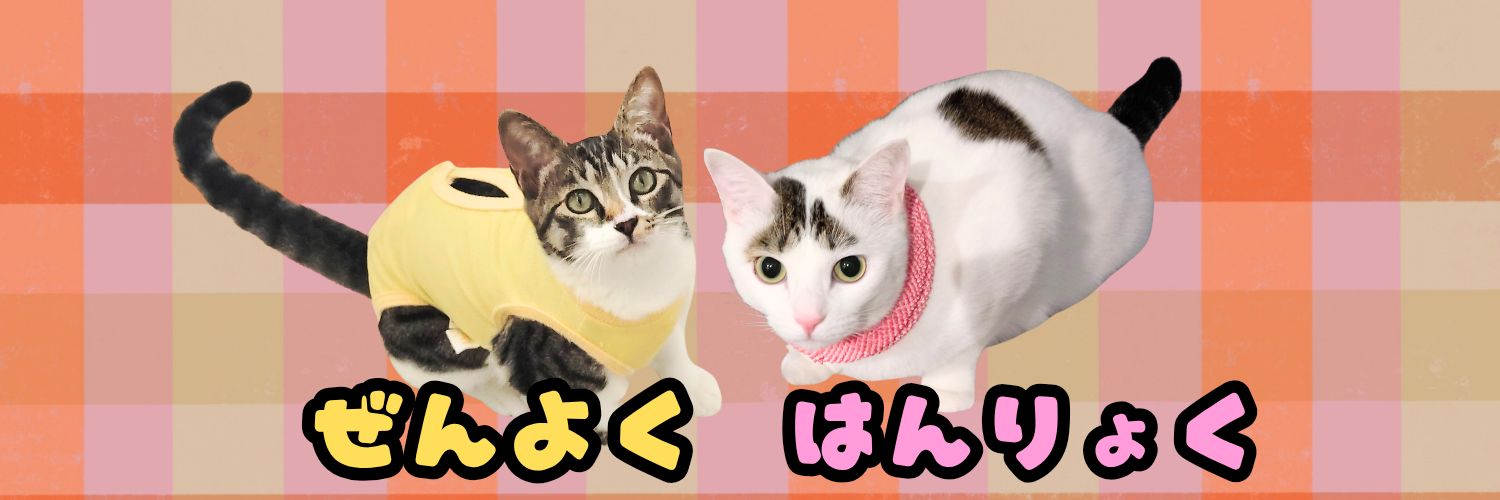猫の半力さんと全欲ちゃんと事務員ぽーさん's banner
