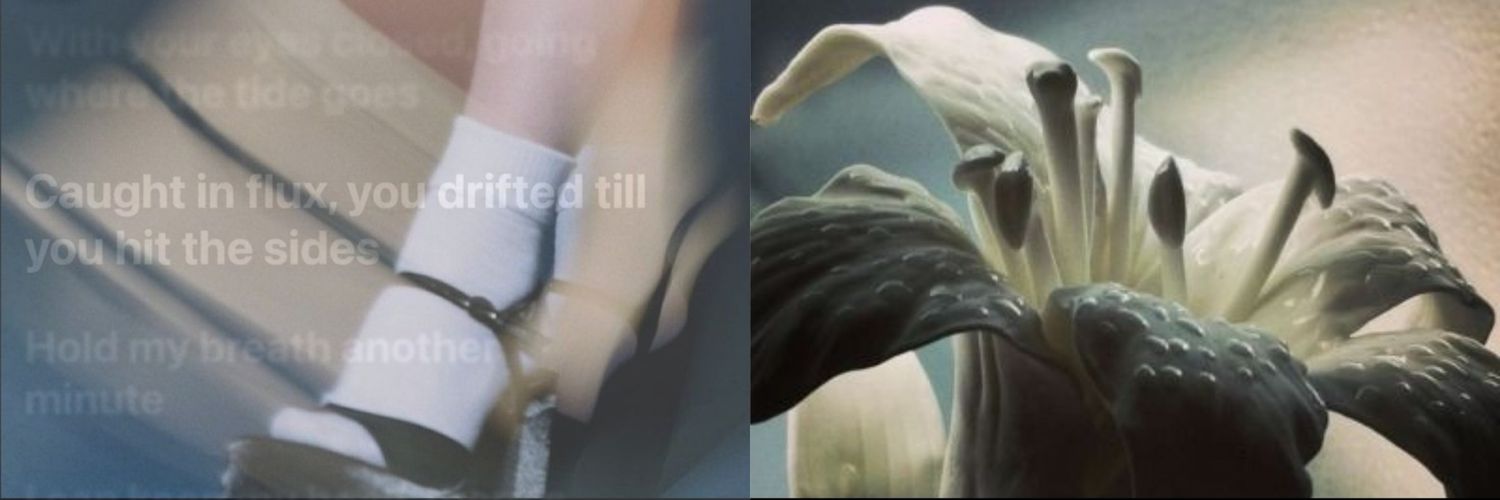 Jamie.'s banner