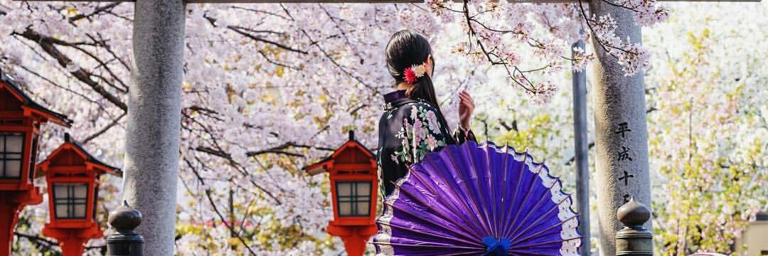よみがえる日本🇯🇵⛩️🌸's banner