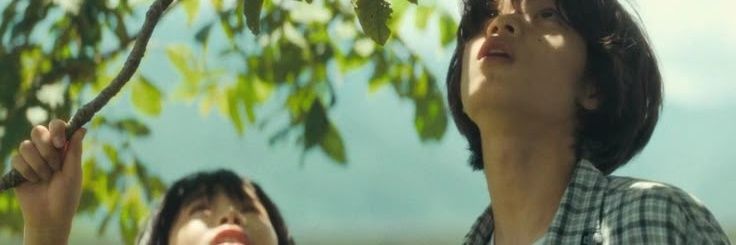 cuco 🌼's banner