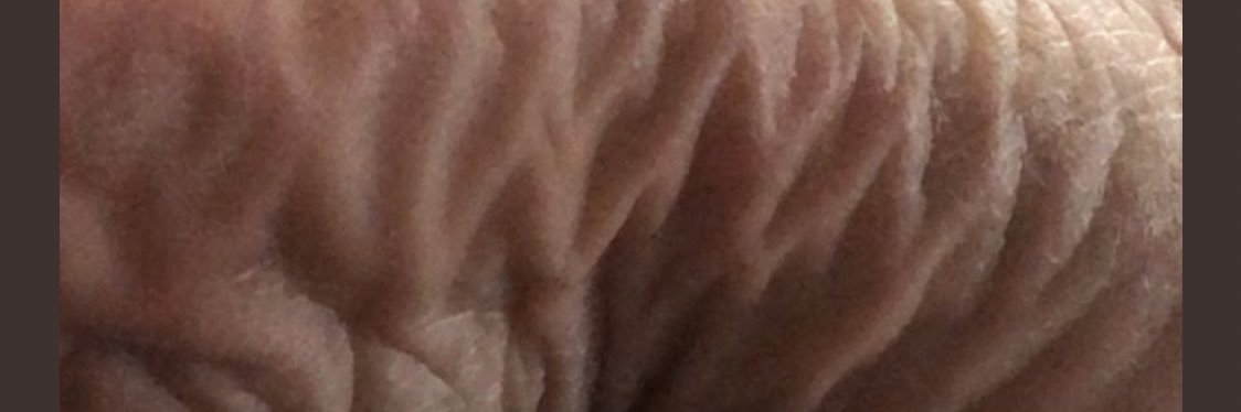 BBCfootCuckhubby's banner