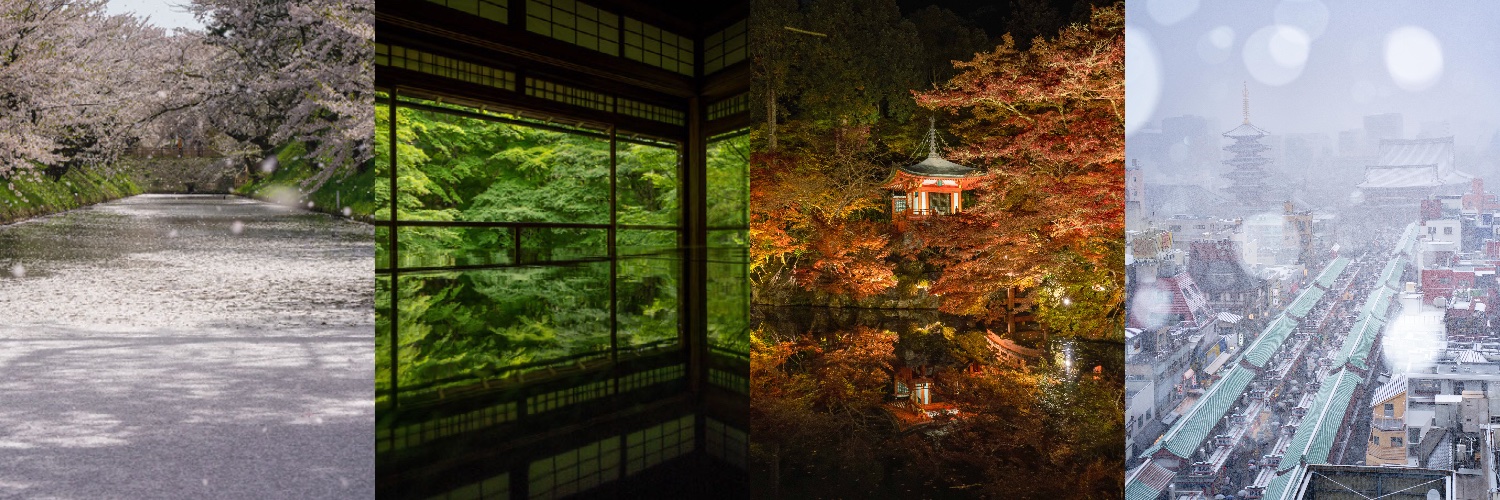 たけ / Photographer's banner