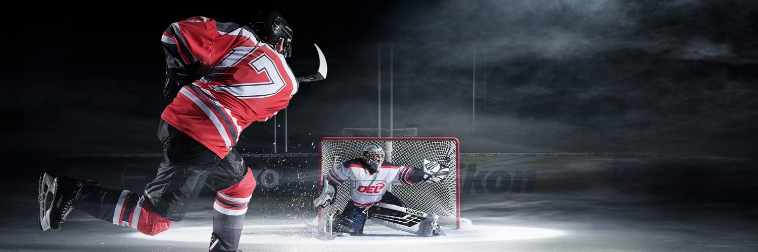 Deutsche Eishockey Liga's banner
