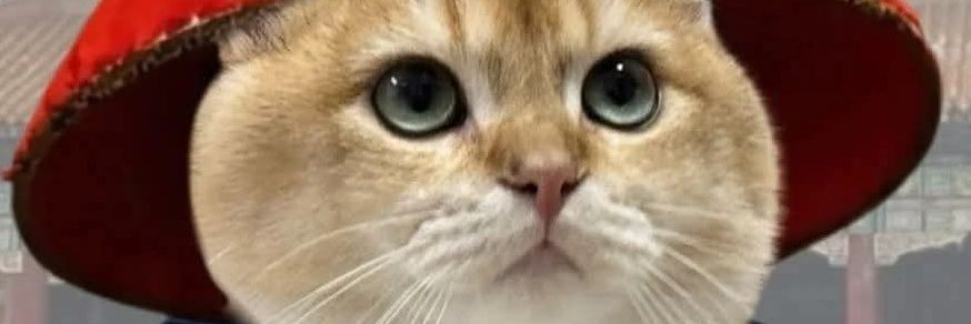 TT Love Cat 😺's banner