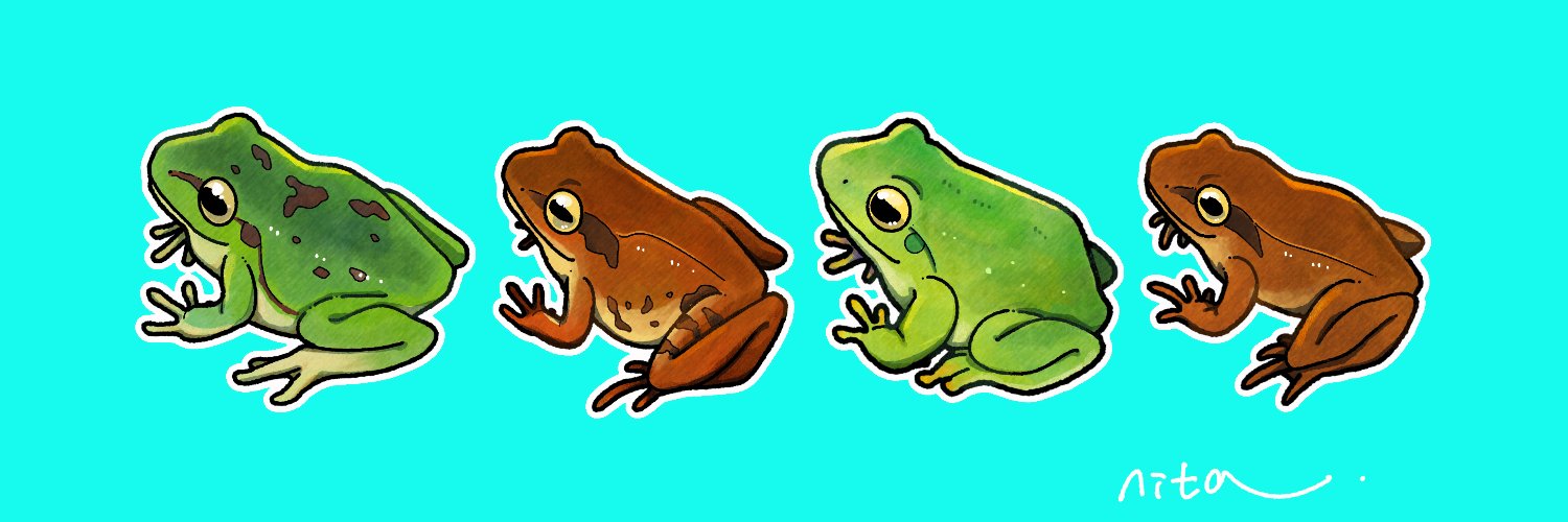 丹汰🦎6/20,21カエルクリエイターズフェスタ's banner