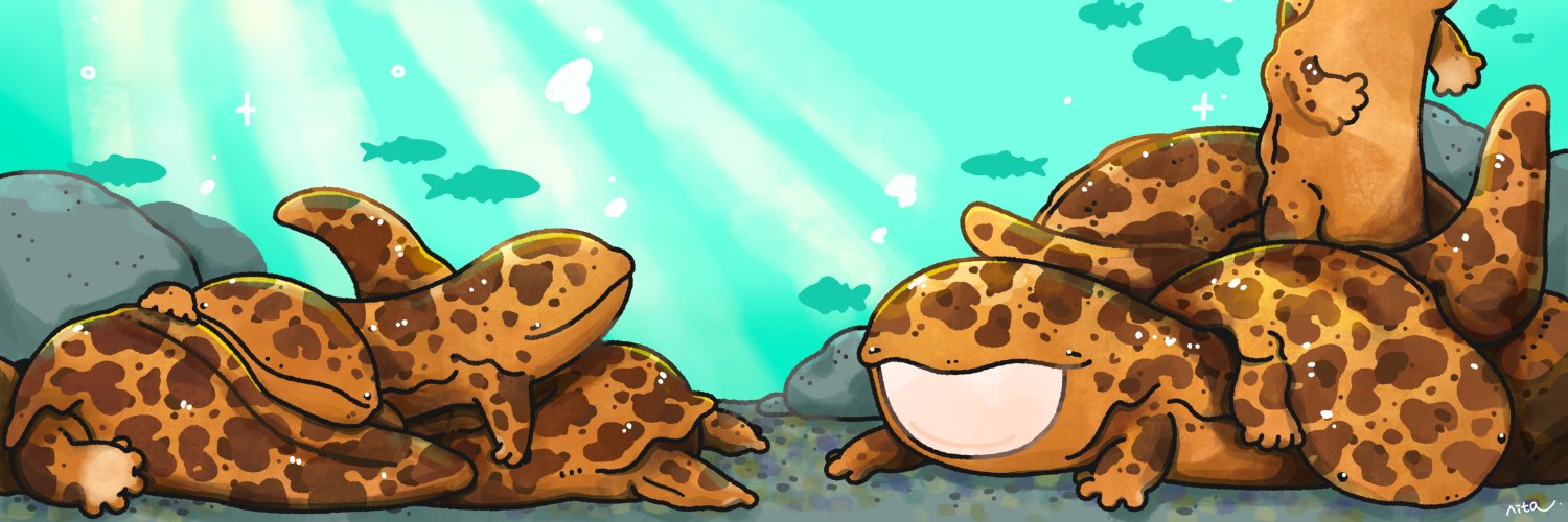 丹汰's banner