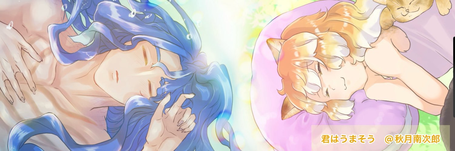 秋月南次郎's banner