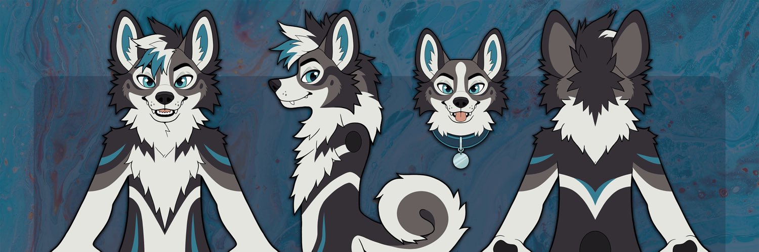 Rocky Husky's banner