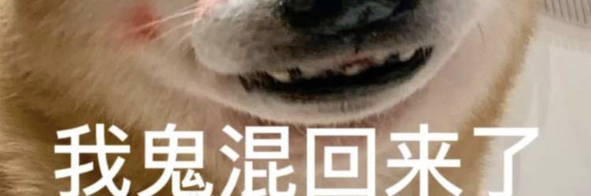 陈小二's banner