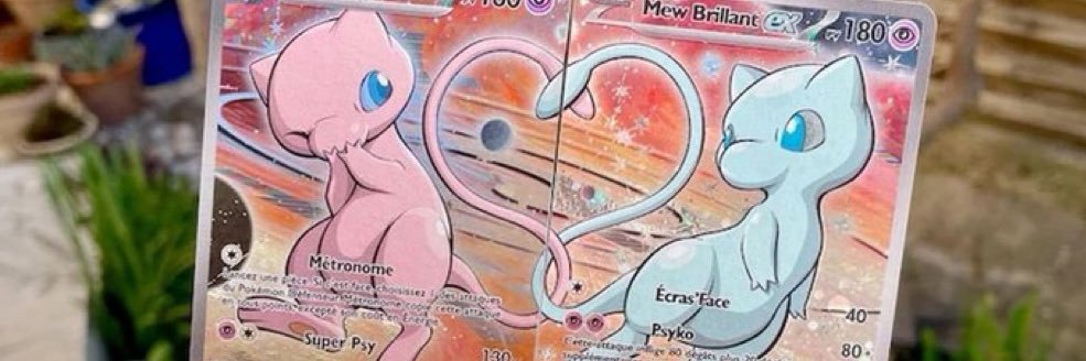 ✨'s banner