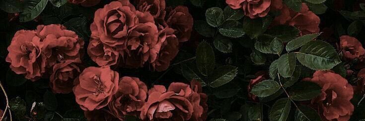 Nay✨'s banner