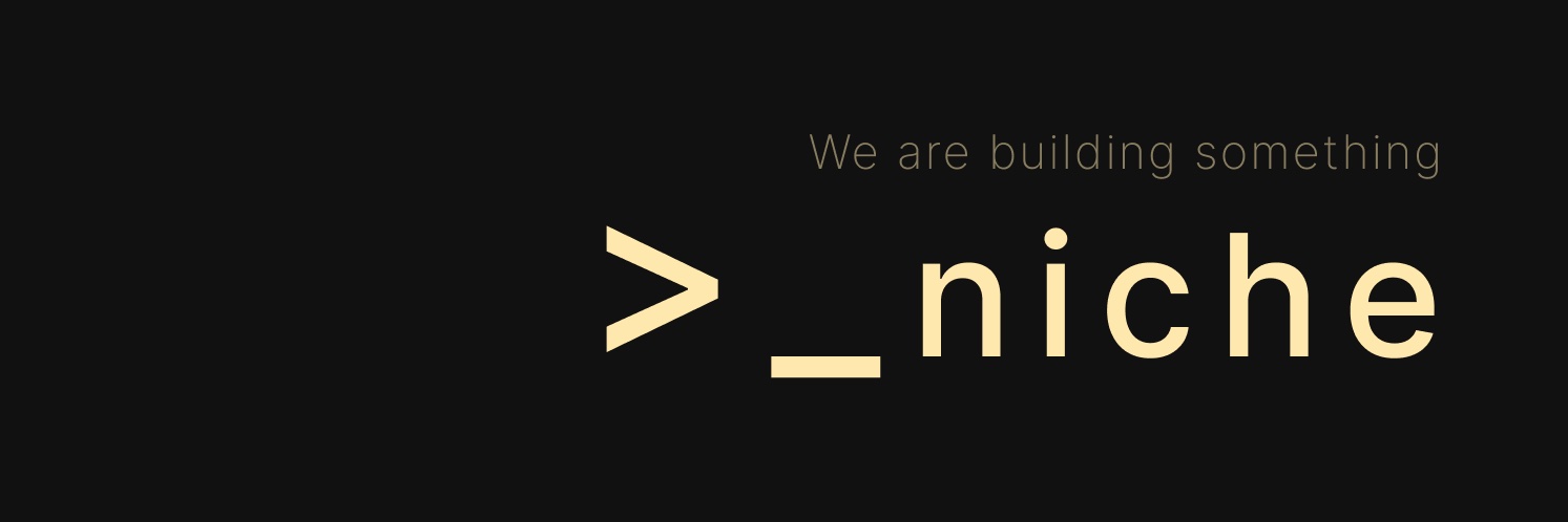NicheGuys's banner