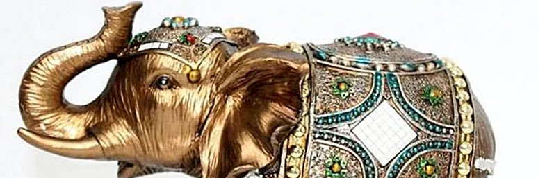 ﮼أفريقيا،السوداء's banner