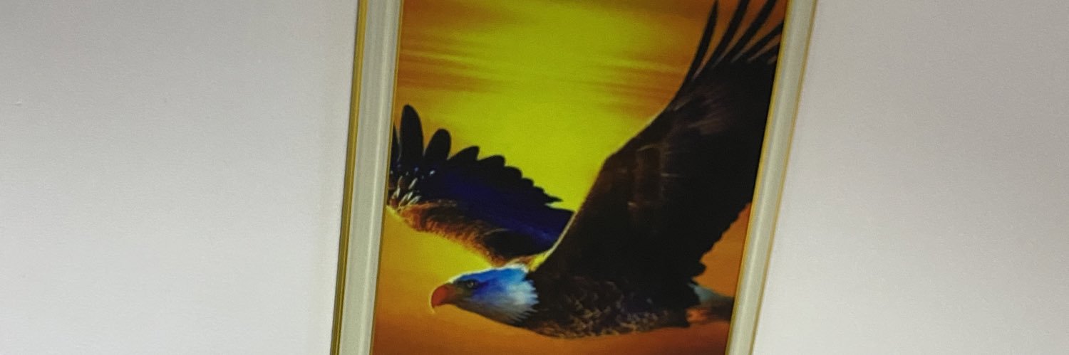 Ugoafụlụanya 🪙🦅's banner