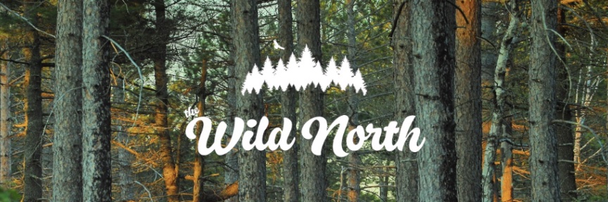 The Wild North's banner