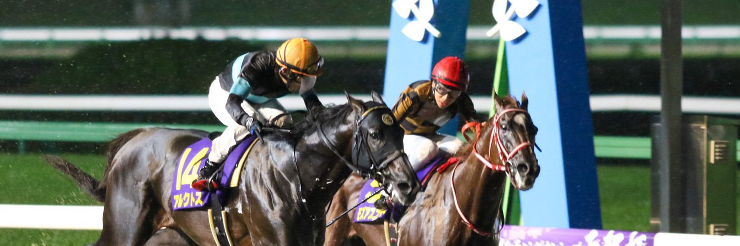 エプソムゆま🏇ダート愛が重馬場🏆🥇's banner