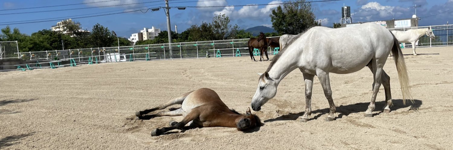 Mihara Horse Riding Club of Okinawa's banner