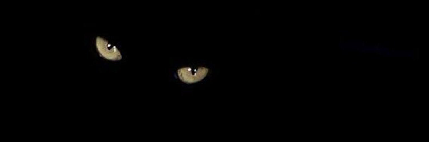‏Ma chance et ma chanson's banner