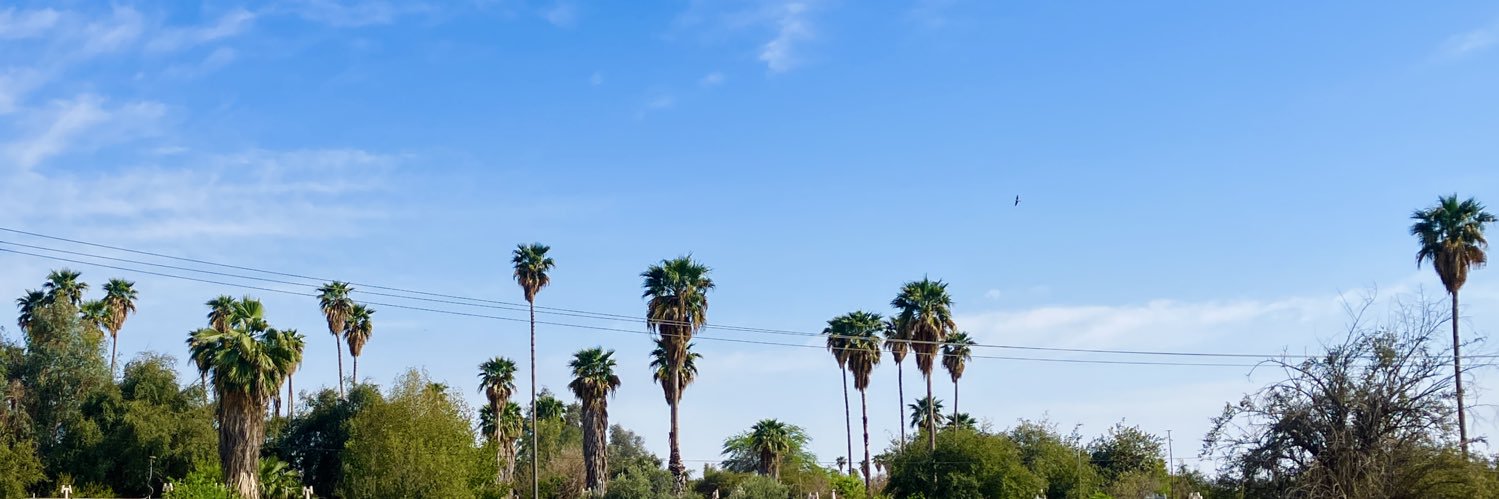 دکتر هارتمن's banner