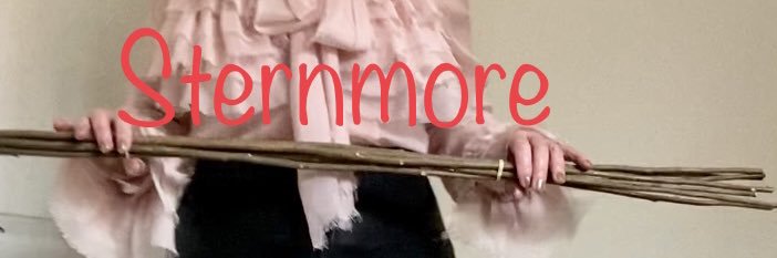 Miss Sternmore lifestyle maternal disciplinarian's banner