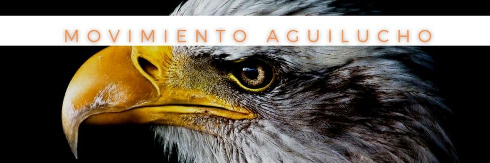 Movimiento Aguilucho's banner