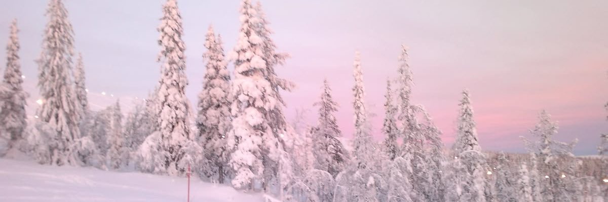 xoxo🌱's banner