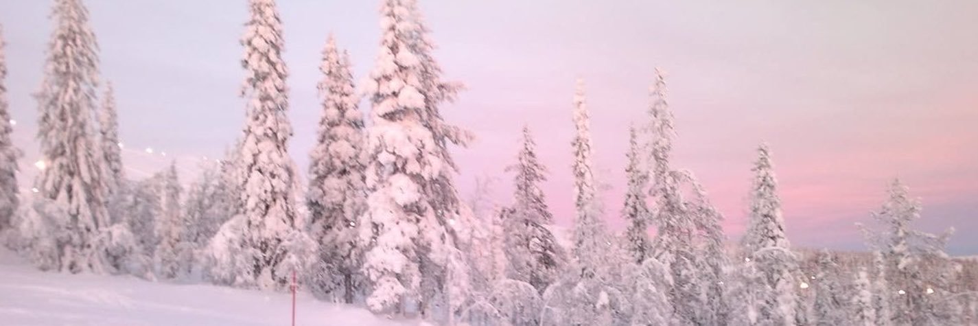 xoxo🌱's banner