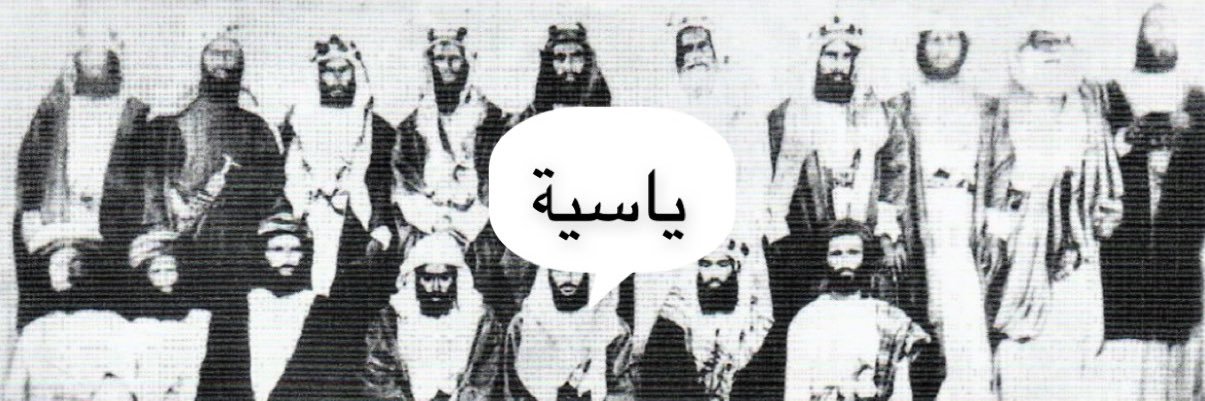 أ. صافية الهاملي's banner