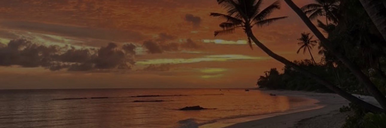 Janit ✨'s banner