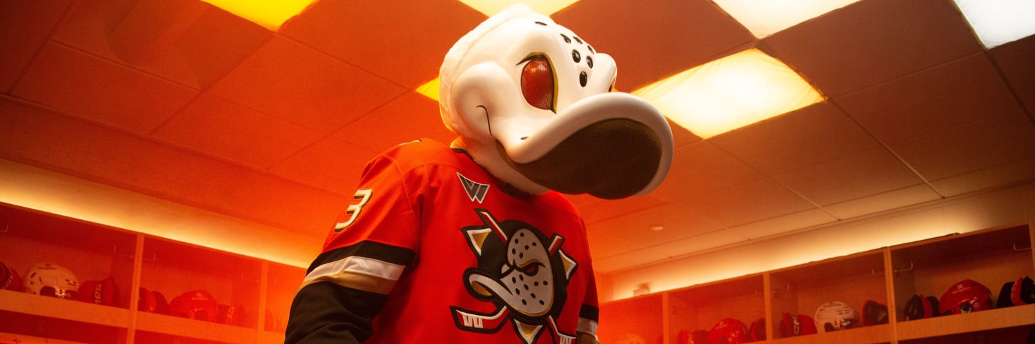Wild Wing's banner