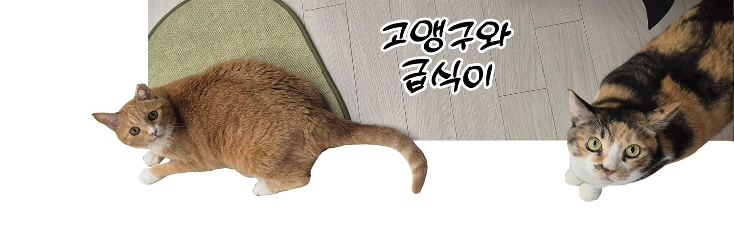 고앵구와 급식이's banner